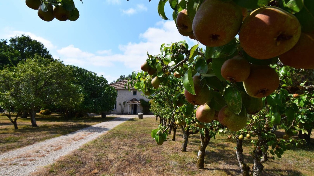 Photo of Outdoor in Castella