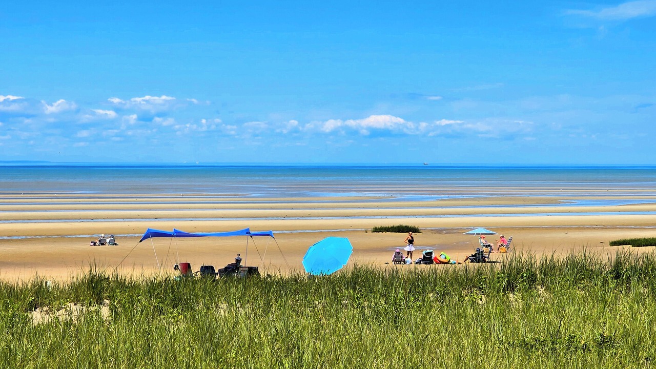 Photo of Others in North Eastham