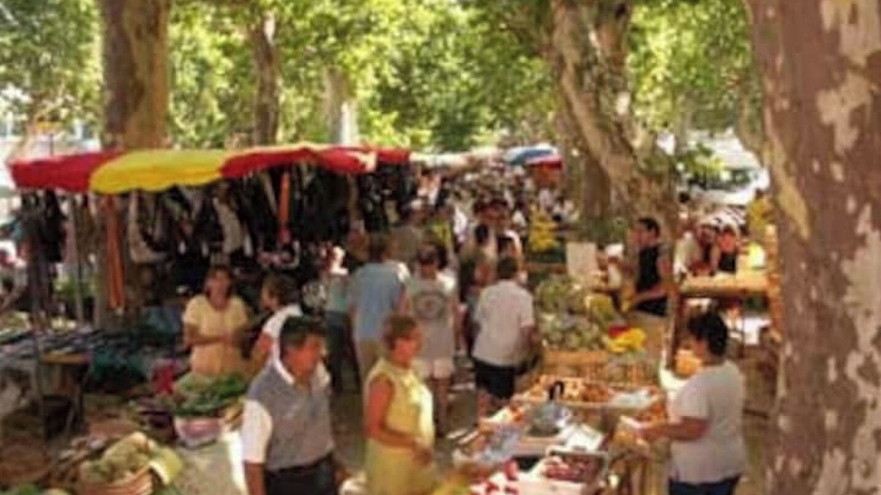Photo of Outdoor in Durban-Corbieres