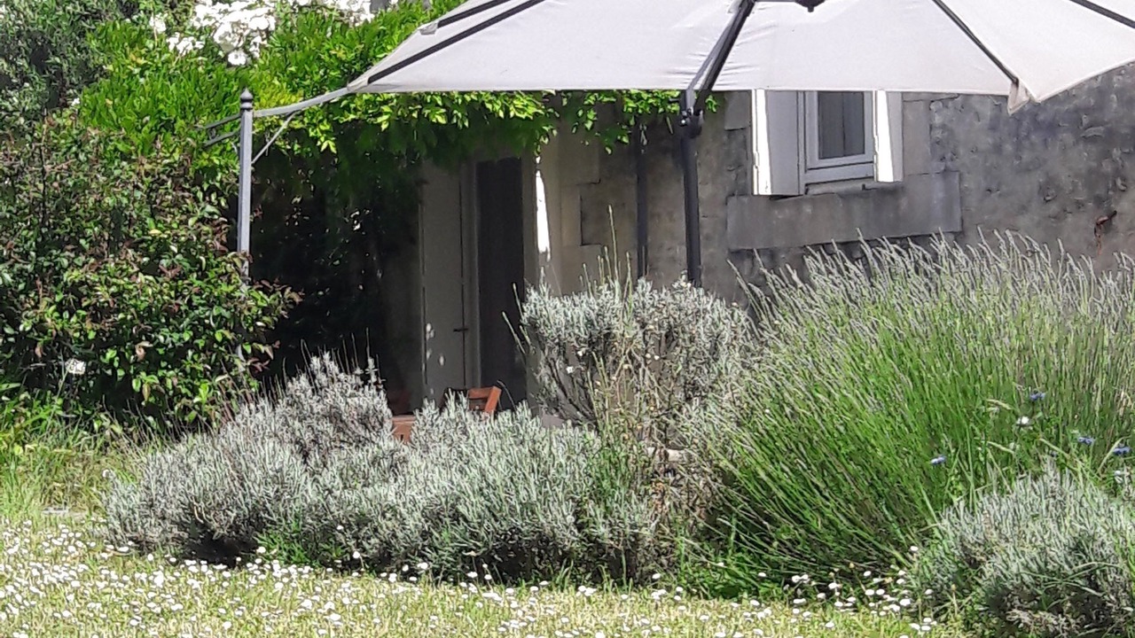 Photo of Outdoor in St Benoist-sur-Mer