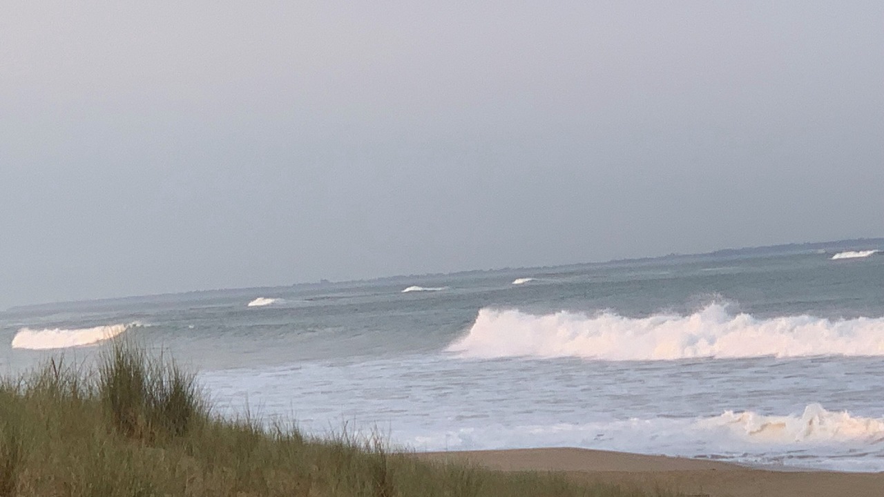 Photo of Others in St Benoist-sur-Mer