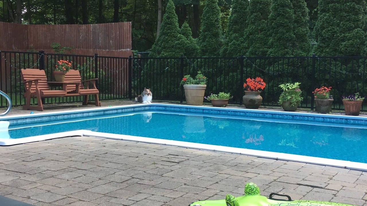 Photo of Outdoor in Mahopac