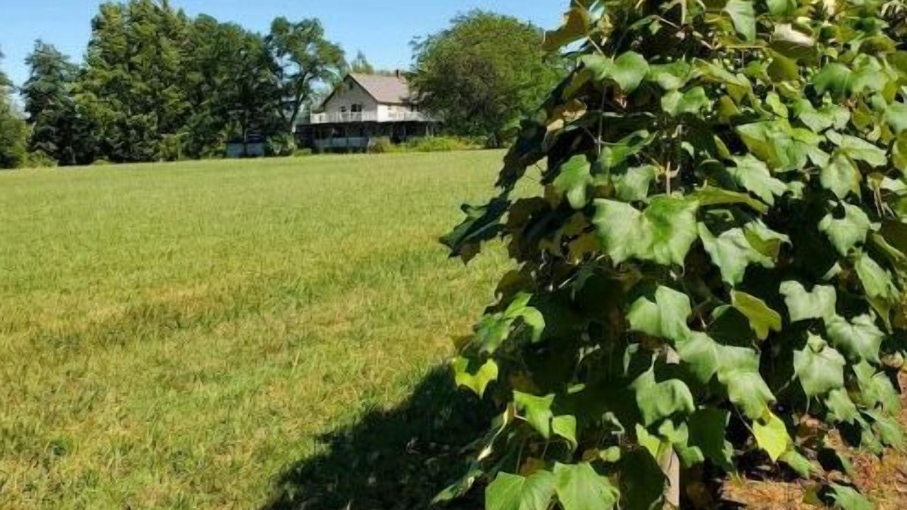 Photo of Outdoor in Ripley
