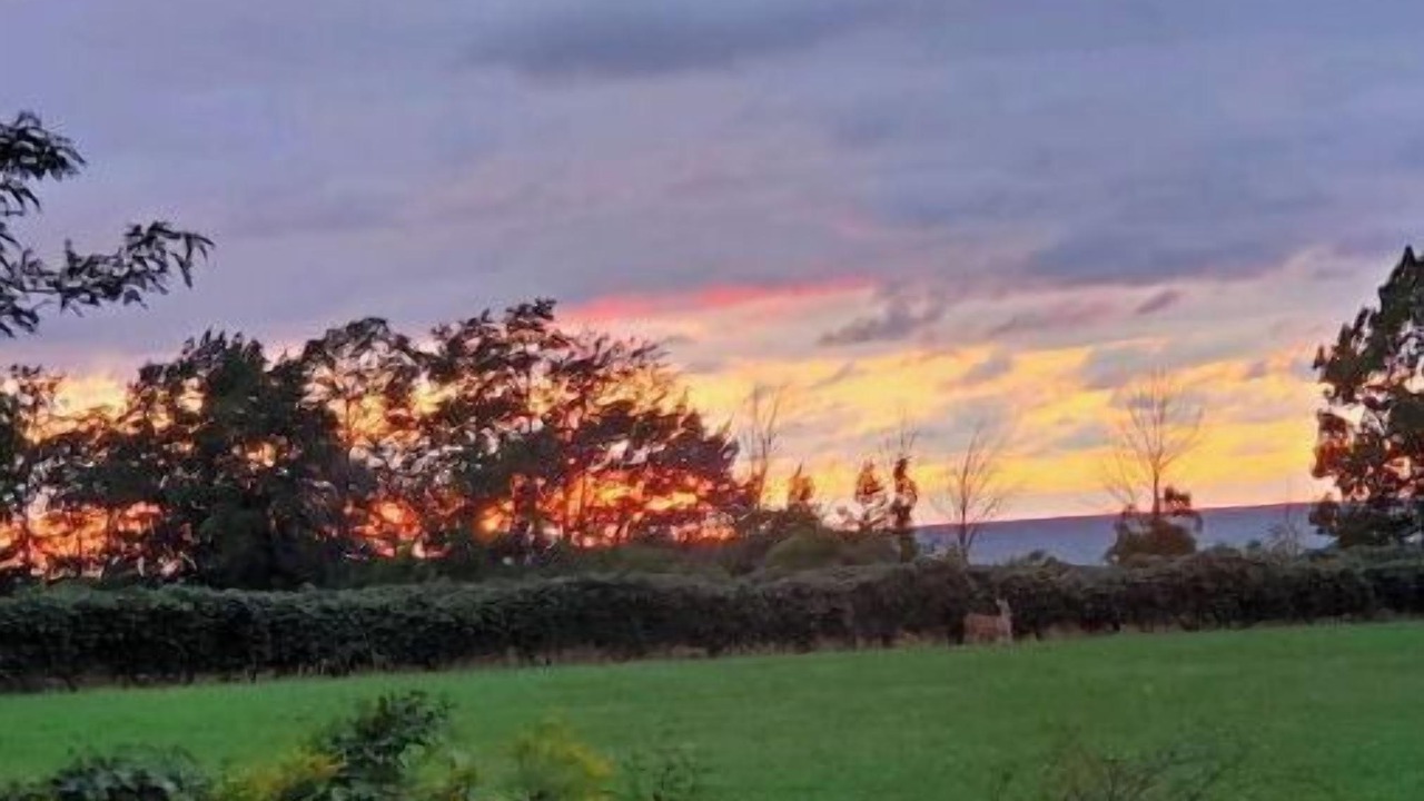 Photo of Outdoor in Ripley