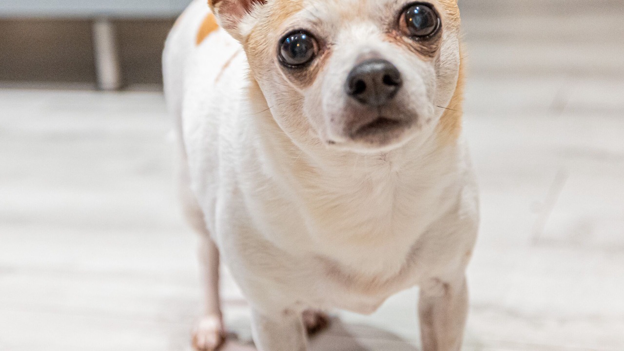 Photo of Others in Pompano Beach