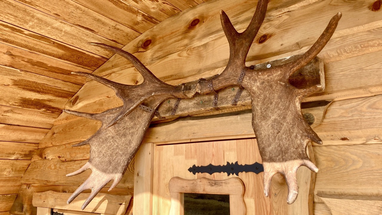 Photo of Outdoor in Bontnewydd