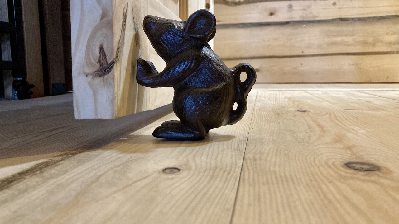 Photo of Others in Bontnewydd