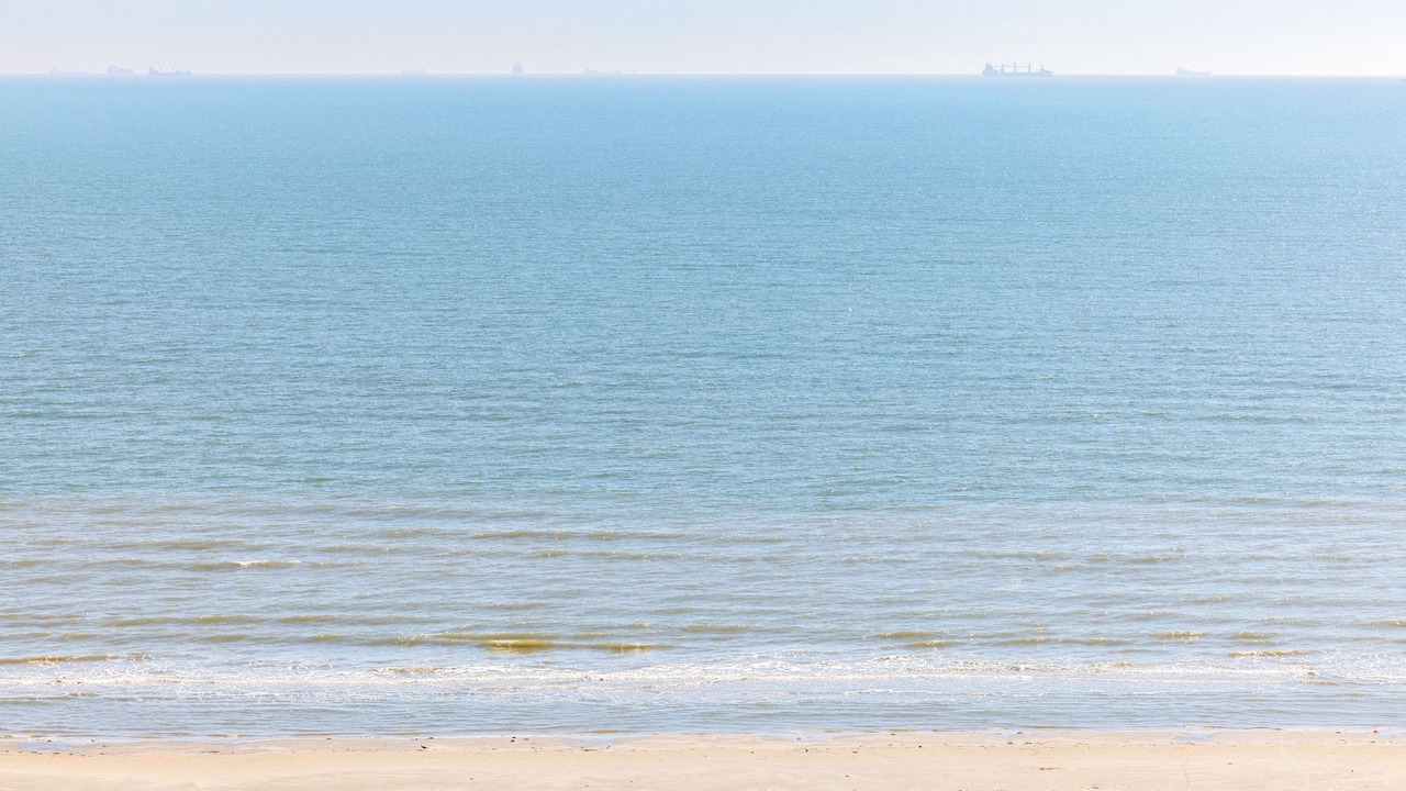Photo of Others in Galveston