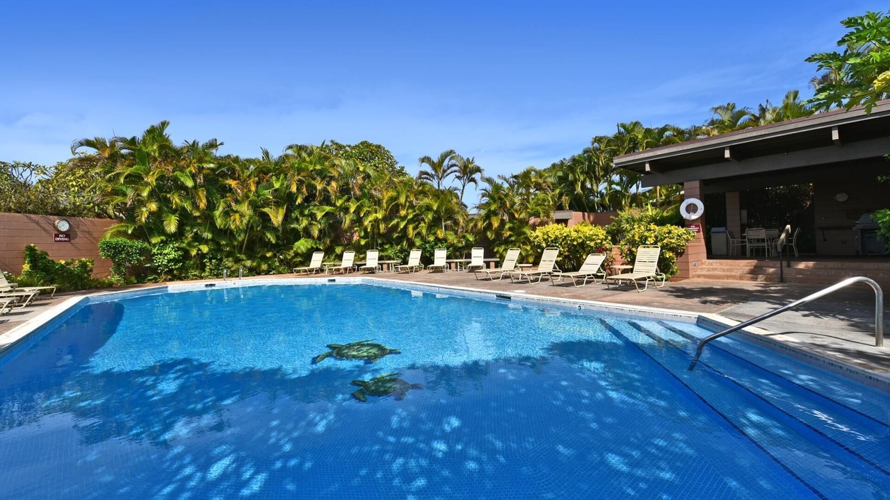 Photo of Outdoor in Napili