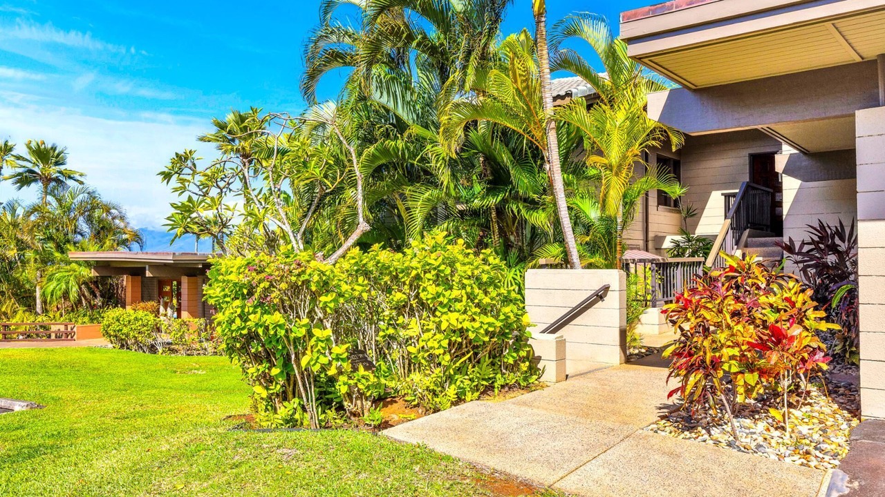 Photo of Outdoor in Napili