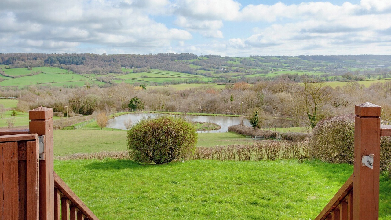 Photo of Others in Honiton