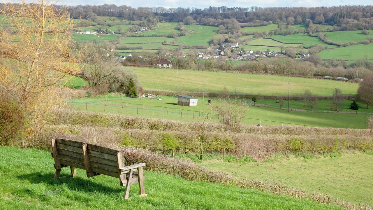 Photo of Others in Honiton