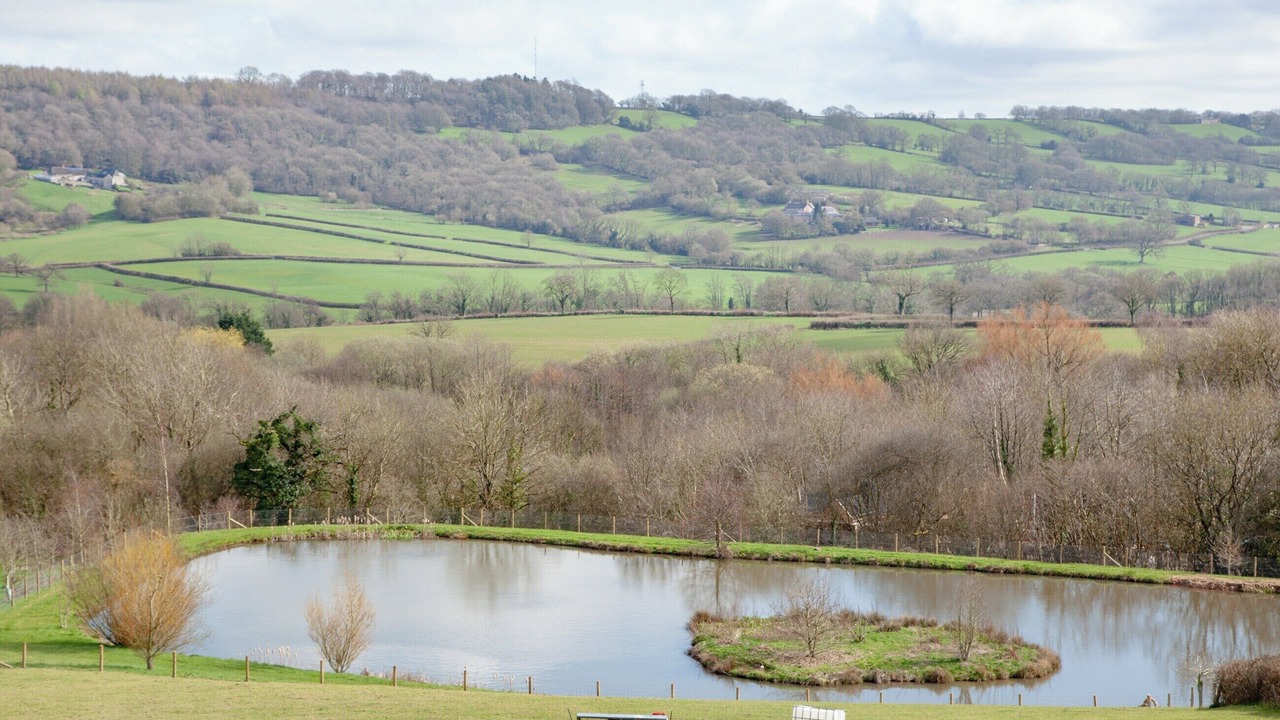 Photo of Others in Honiton