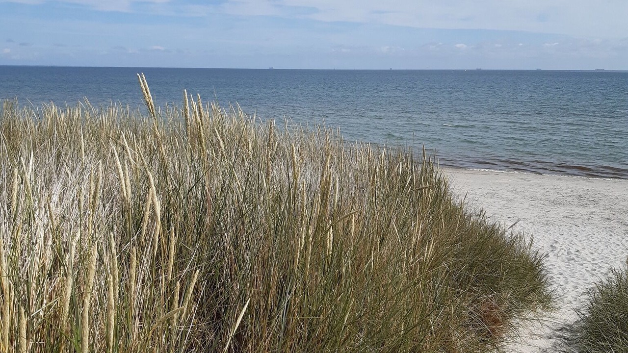 Photo of Others in Strandby
