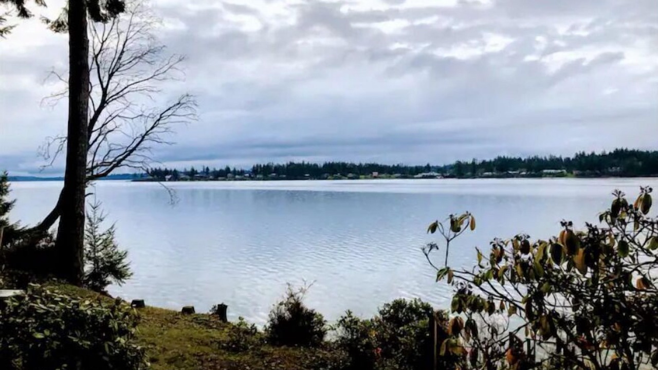 Photo of Others in Olympia