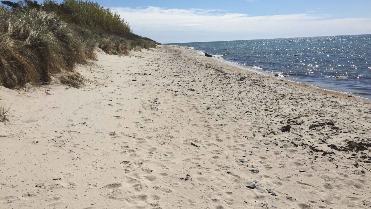 Photo of Others in Oster Somarken