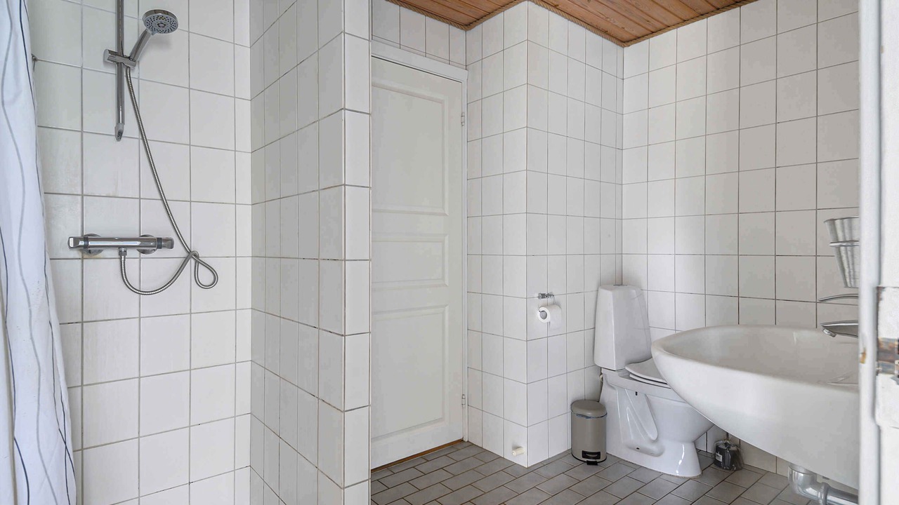 Photo of Others in Stege