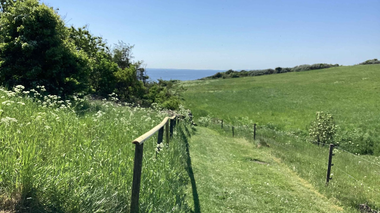 Photo of Others in Spøttrup