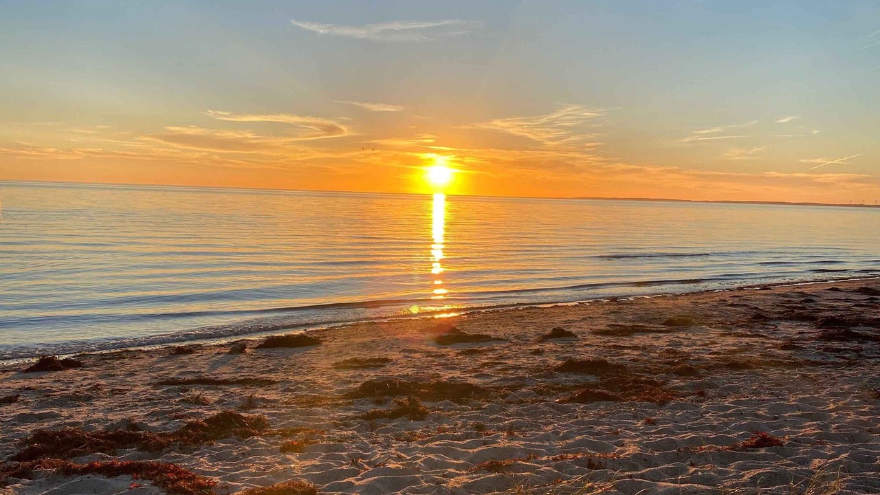 Photo of Others in Store Fuglede