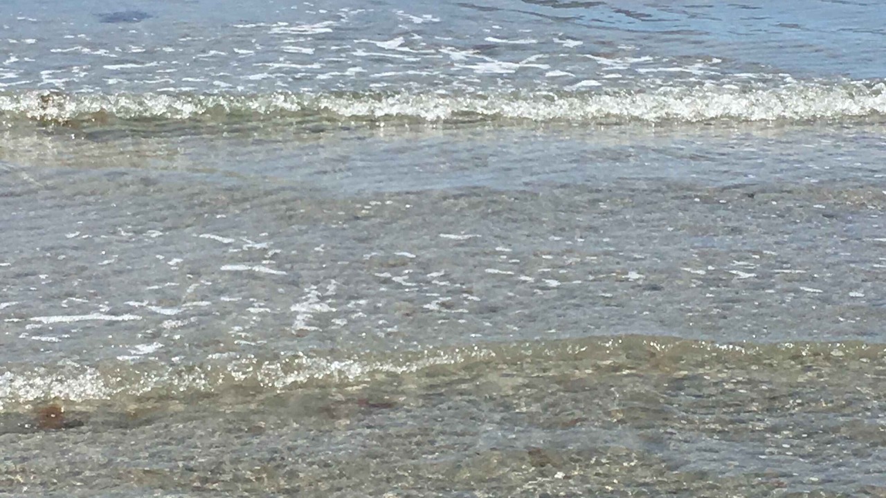 Photo of Others in Store Fuglede