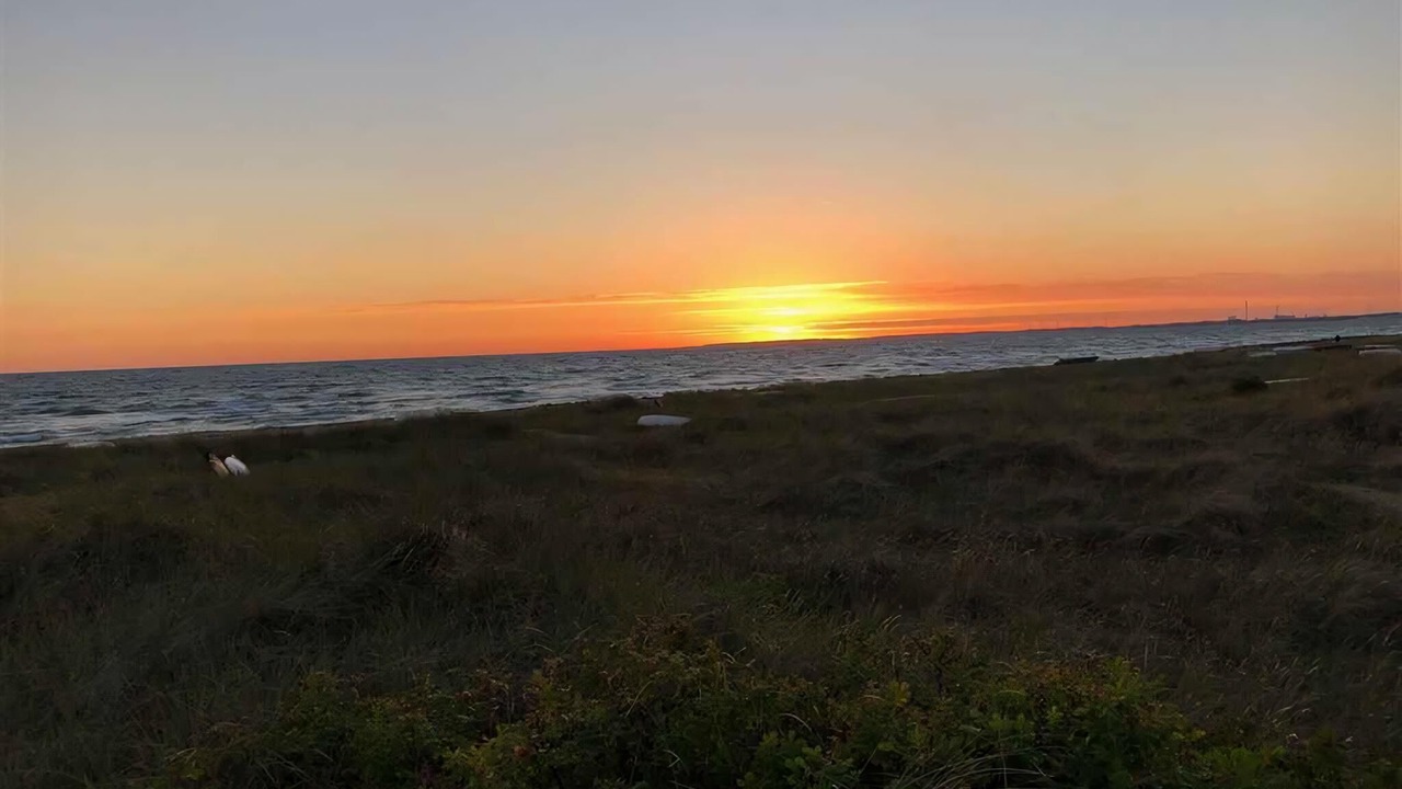 Photo of Others in Store Fuglede