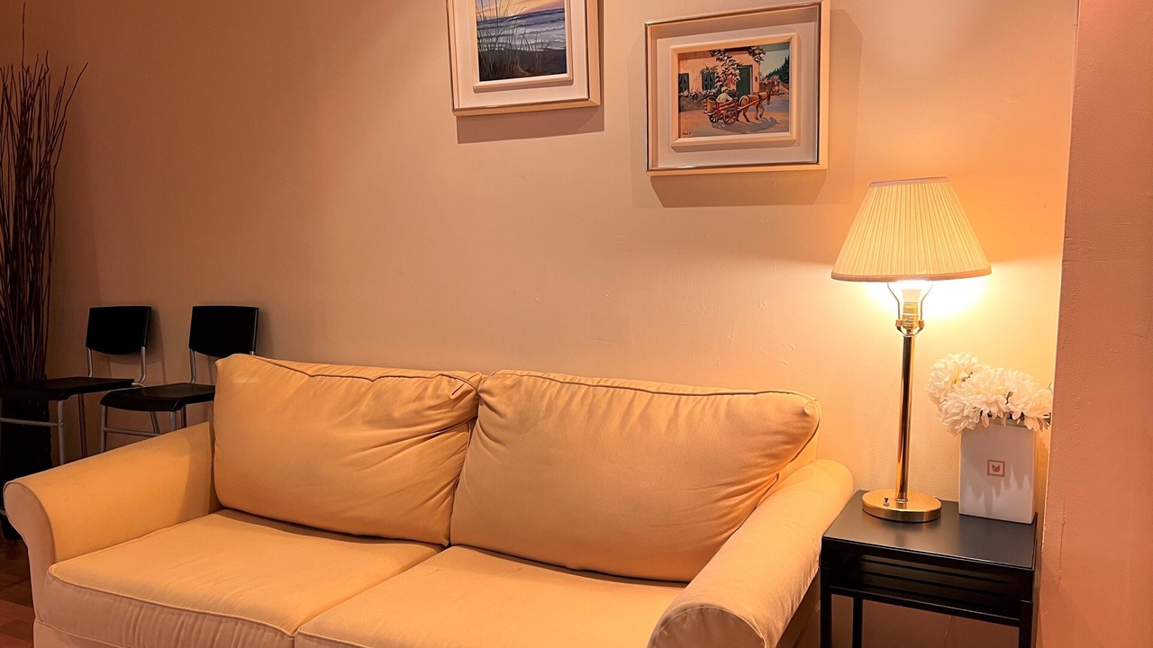 Photo of Livingroom in Plateau Mont Royal