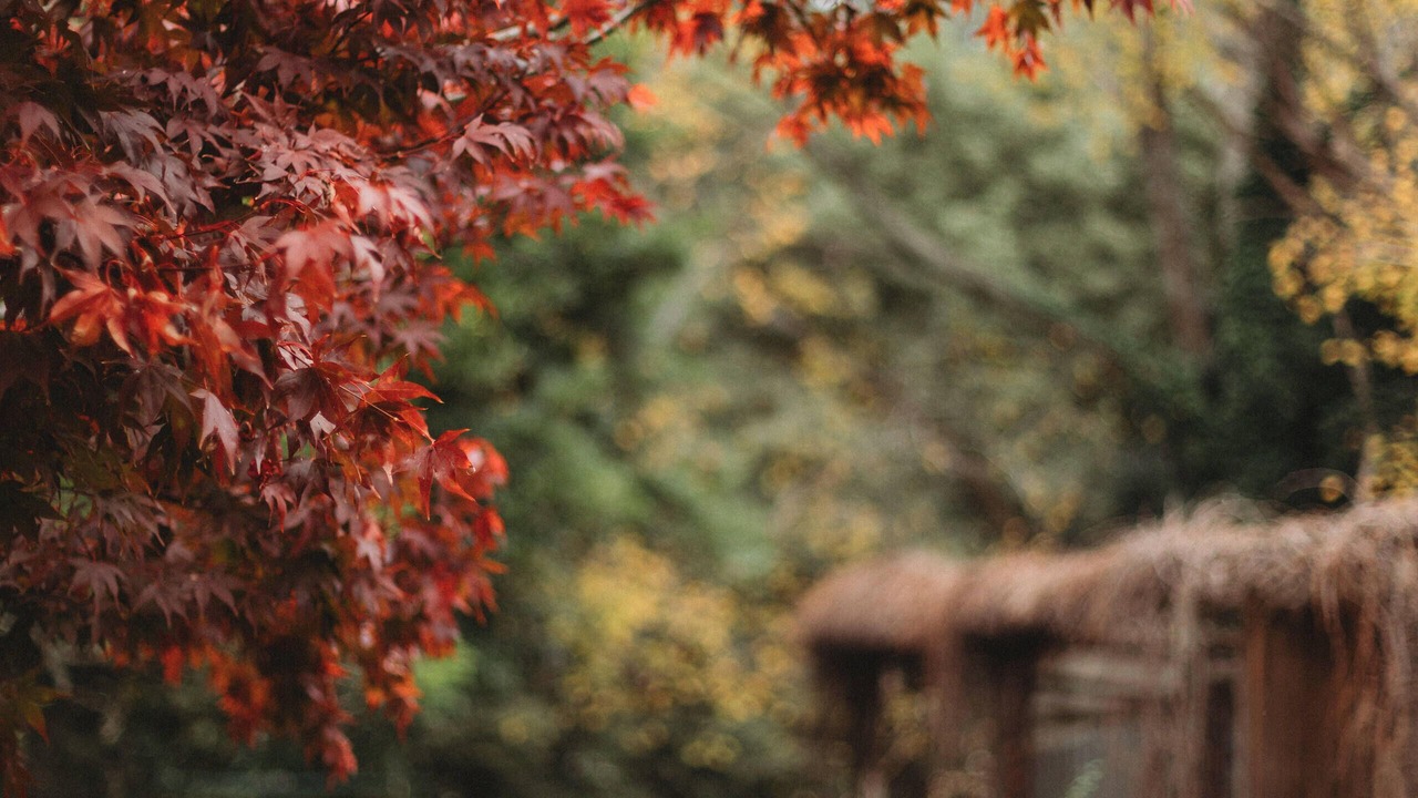 Photo of Patio Balcony in The Patch