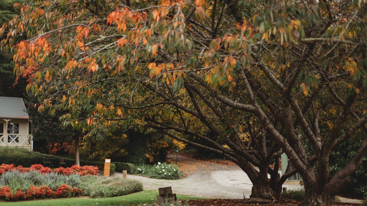 Photo of Outdoor in The Patch