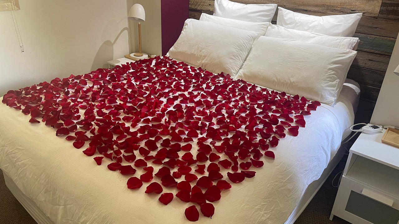 Photo of Others in The Patch