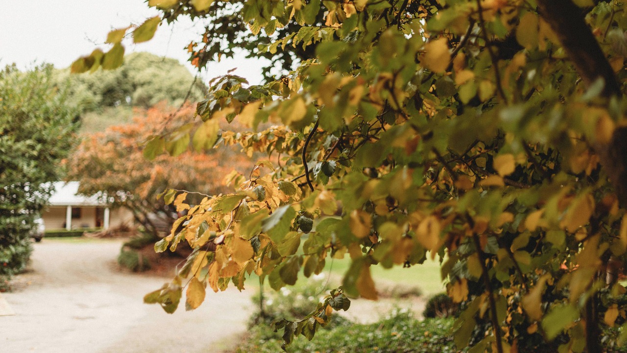 Photo of Outdoor in The Patch