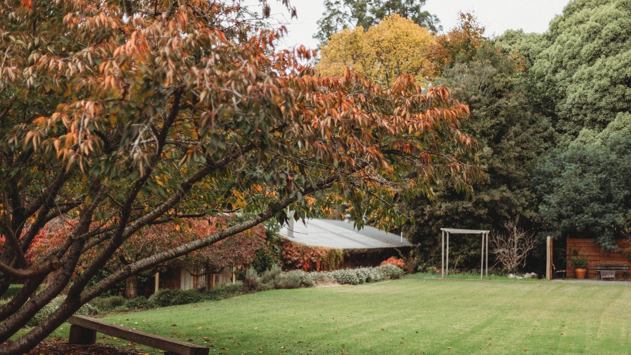 Photo of Outdoor in The Patch