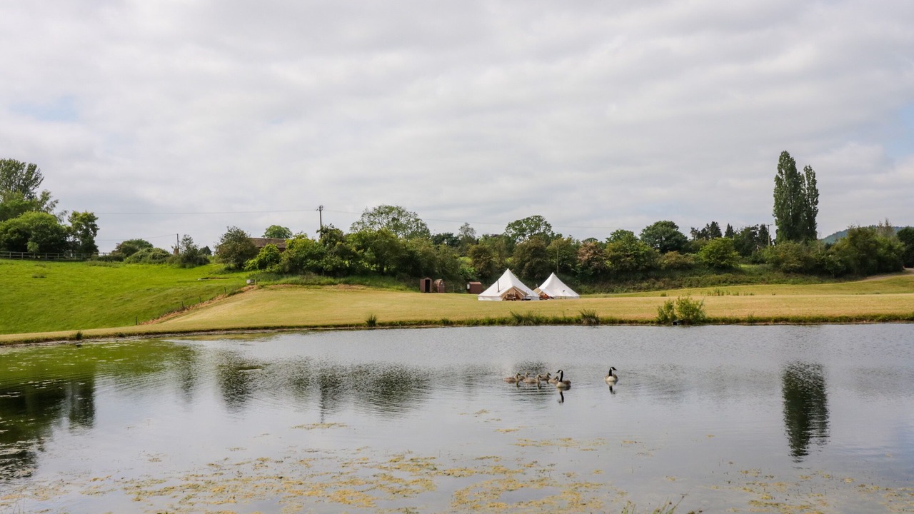 Photo of Outdoor in Great Witley