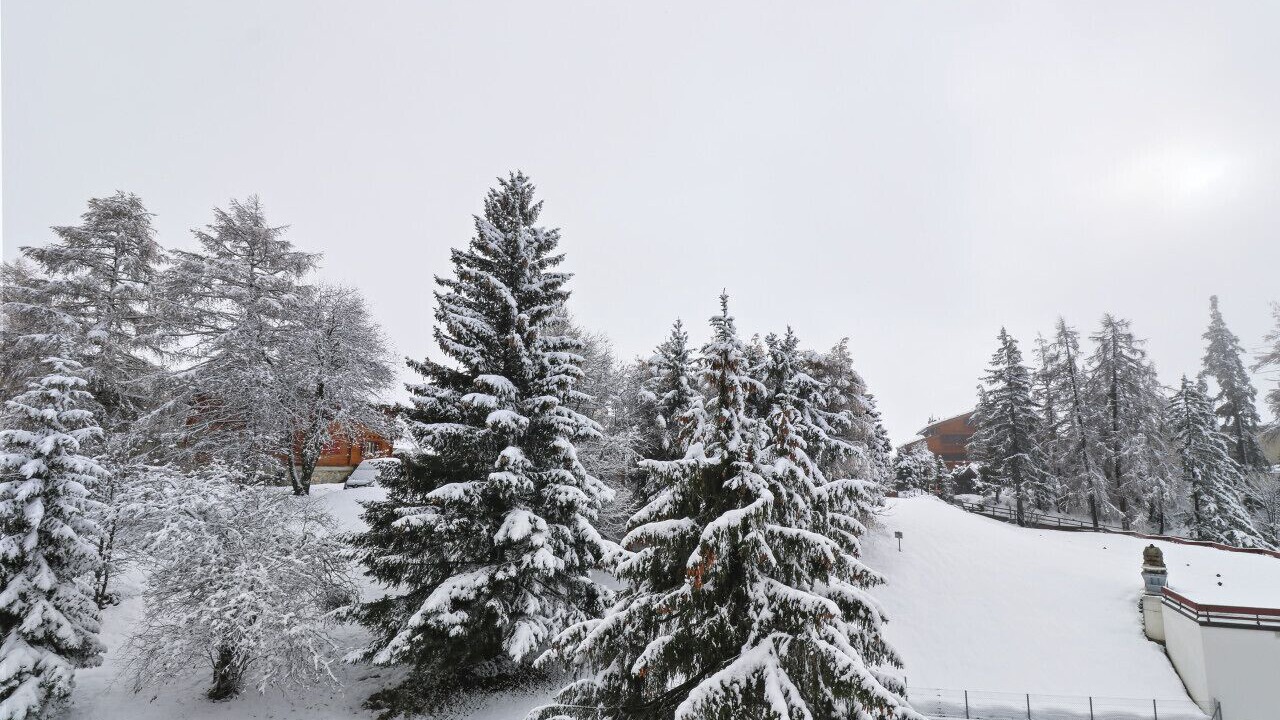 Photo of Outdoor in Noes