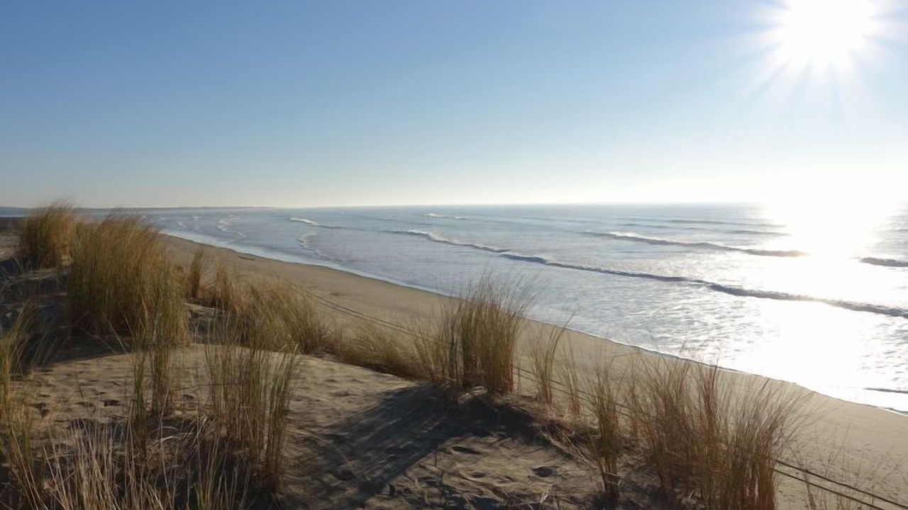 Photo of Others in Le Grand-Village-Plage