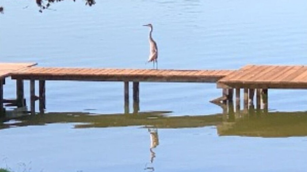 Photo of Others in Burnet