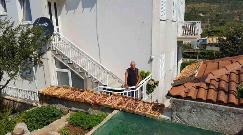 Photo of Patio Balcony in Zvekovica