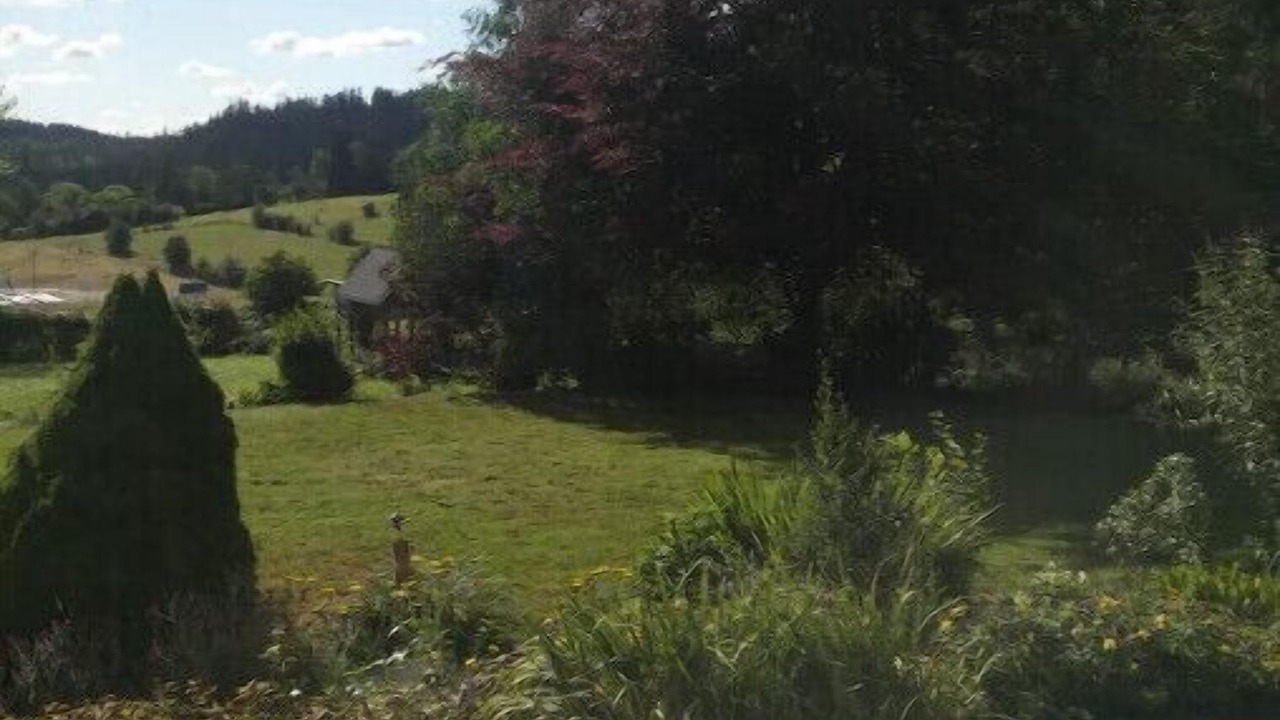 Photo of Outdoor in South Hills