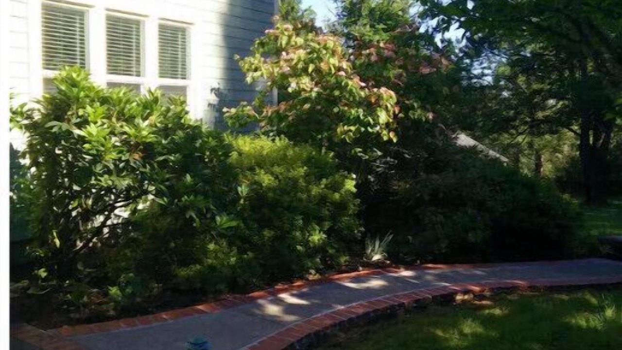 Photo of Outdoor in South Hills