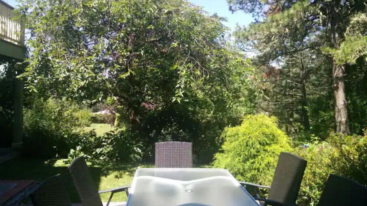 Photo of Outdoor in South Hills