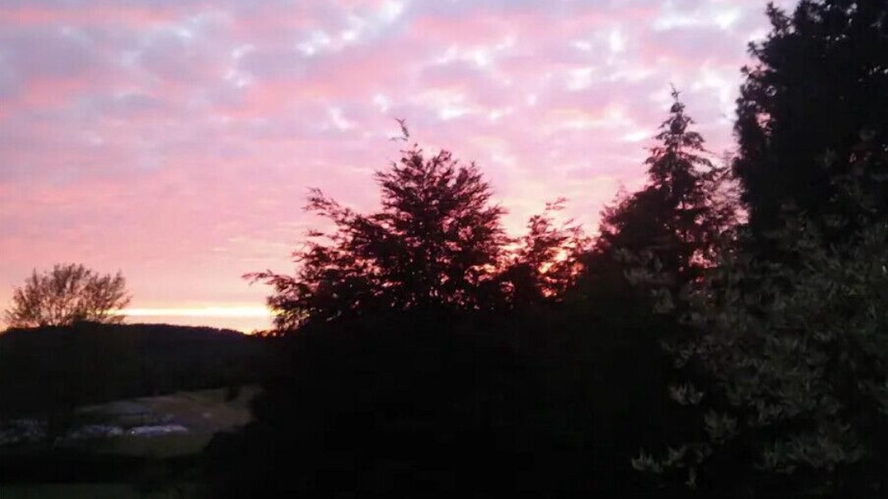 Photo of Others in South Hills