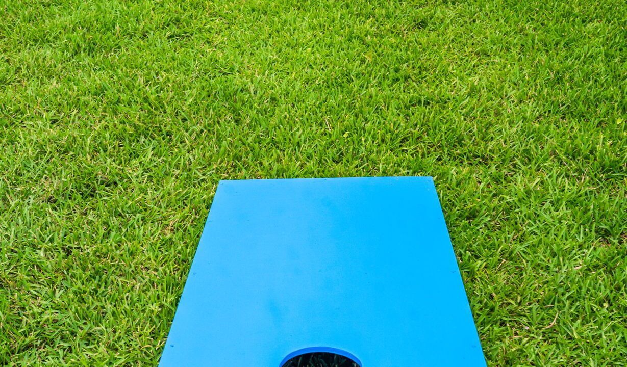 Photo of Outdoor in Willis