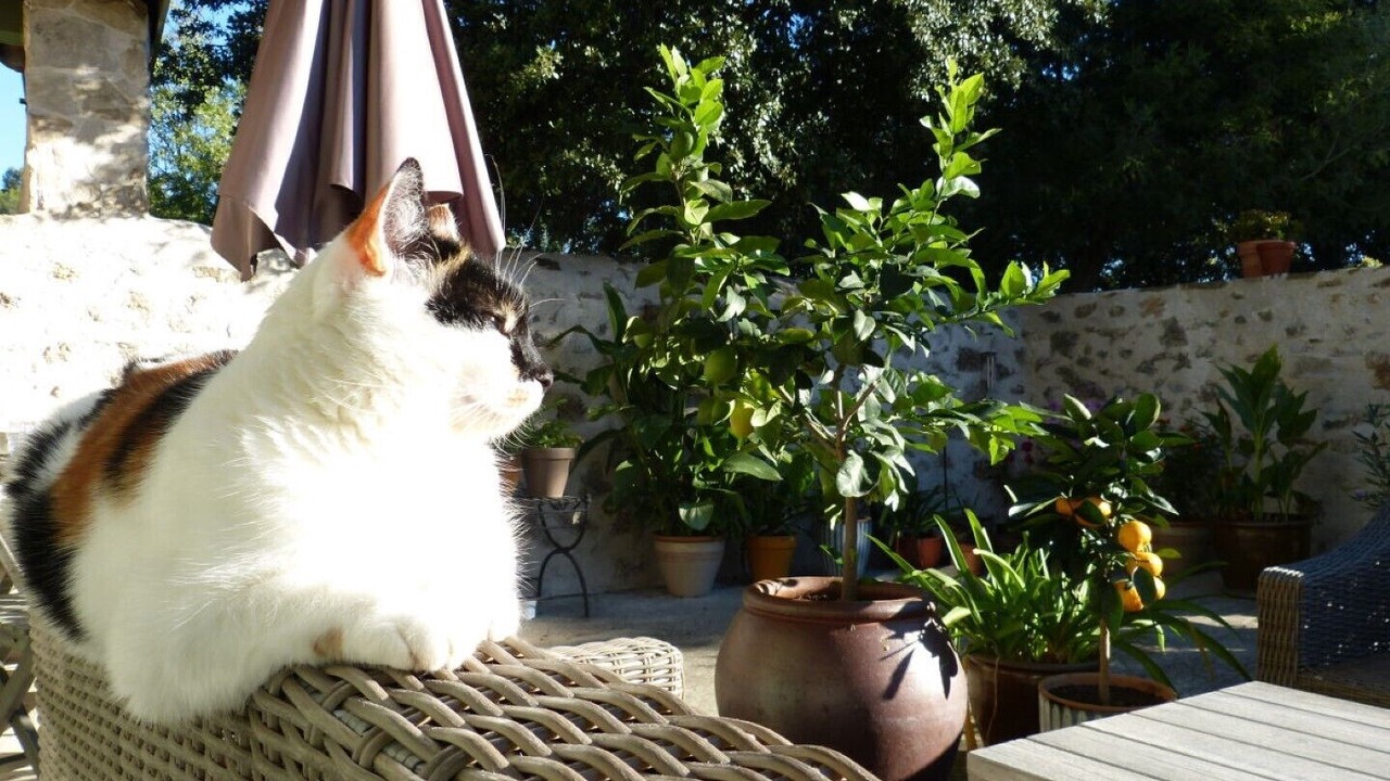 Photo of Outdoor in Durban-Corbieres