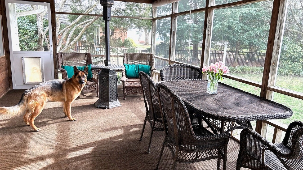 Photo of Outdoor in Annapolis