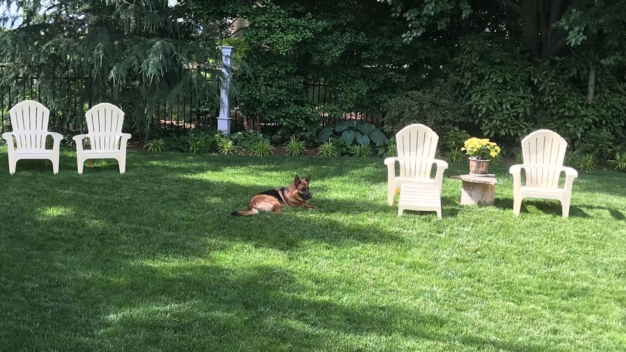 Photo of Outdoor in Annapolis