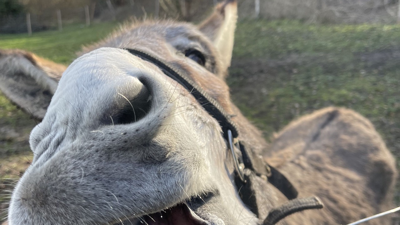 Photo of Outdoor in Piegros-la-Clastre