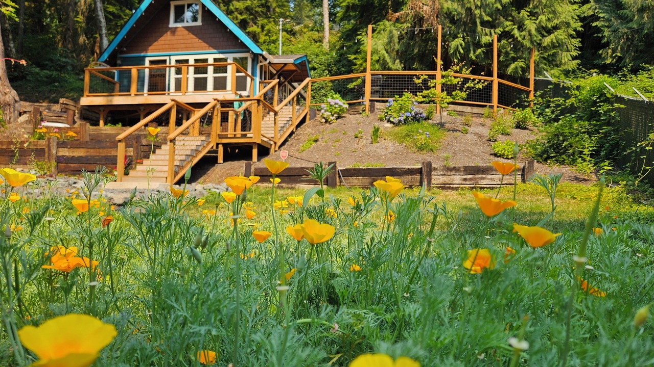 Photo of Outdoor in Lime Kiln