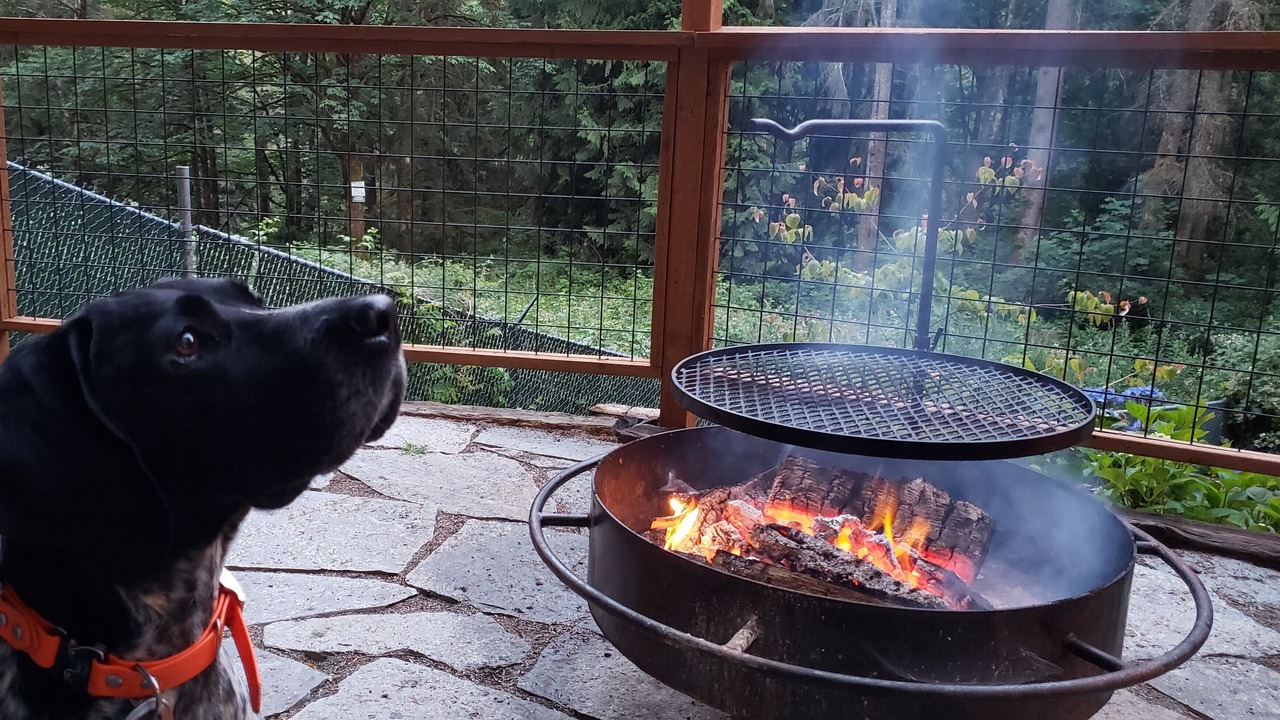 Photo of Others in Lime Kiln