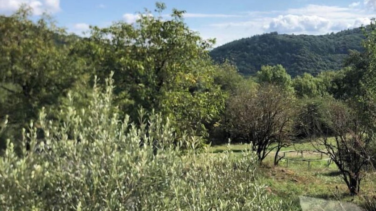 Photo of Outdoor in Avene