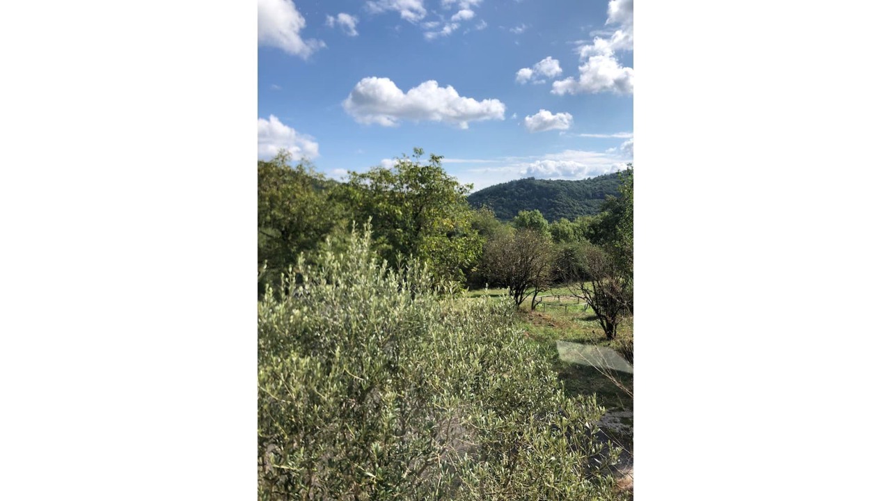 Photo of Outdoor in Avene