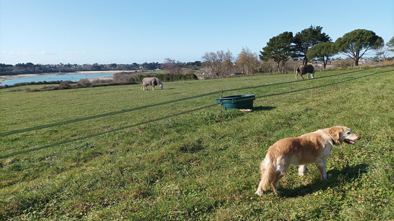 Photo of Others in Saint-Briac-sur-Mer